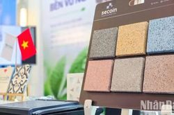 Vật liệu xanh: Xu hướng tất yếu trong kỷ nguyên Net Zero