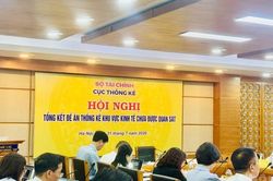Tổng kết đề án thống kê khu vực kinh tế chưa được quan sát