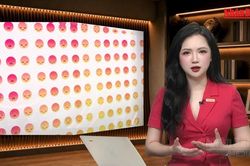 [Video] Tiêu điểm 31/7: Đường dây ngầm kinh doanh những 'cơn bão chỉ trích trên mạng'