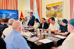 Thúc đẩy doanh nghiệp, nhà đầu tư Áo đến với Đà Nẵng