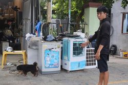 Lộ mặt kẻ trộm