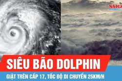 Ảnh hưởng siêu bão Dolphin: Dự báo sóng biển cao 2-4m, biển động rất mạnh