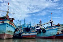 TPHCM nghiên cứu áp dụng 'thẻ vàng, thẻ đỏ' để quản lý tàu cá vi phạm IUU