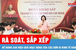 Rà soát, sắp xếp để nâng cao hiệu quả hoạt động của các đơn vị kinh tế Đảng