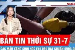 Bản tin thời sự 31-7: C&aacute;c mẫu xăng sinh học E10 đều đạt chuẩn quốc gia