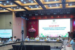 Tiếp tục cập nhật, hoàn thiện Nền tảng tổng hợp, phân tích dữ liệu tập trung của Bộ Tư pháp