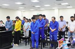 Nhận hối lộ của trùm thực phẩm giả, hai cựu cán bộ hải quan bị tuyên phạt 13 năm tù