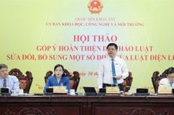 Sửa Luật Điện lực: Cần cơ chế đột phá cho LNG, điện gió ngoài khơi