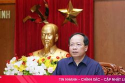 Phát huy vai trò cơ quan tham mưu chiến lược về công tác cán bộ của Ban Tổ chức Tỉnh ủy