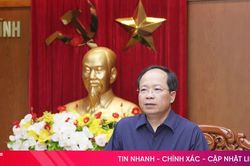 Phát huy vai trò cơ quan tham mưu chiến lược về công tác cán bộ của Ban Tổ chức Tỉnh ủy