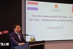 Doanh nghiệp Hà Lan đánh giá cao triển vọng phát triển của Việt Nam