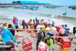 Làng cá truyền thống Vĩnh Tân: 'Mặn mòi vị biển' giữa dòng chảy hiện đại