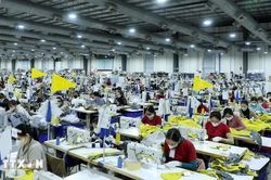 Chính sách thuế quan Mỹ: Thúc đẩy đàm phán chuỗi cung ứng ngành dệt may