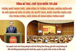 Tổng Bí thư, Chủ tịch nước Tô Lâm: Các quyết sách của Trung ương là một hệ thống liên thông, gắn kết