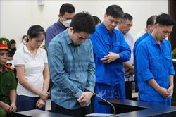 Hai cựu lãnh đạo Cục Hải quan lĩnh 13 năm tù trong vụ sản xuất thực phẩm giả ở MediPhar