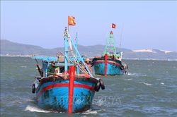 Đa dạng hình thức tuyên truyền ngư dân cùng chung tay gỡ 'thẻ vàng' IUU