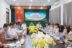 Nông dân An Giang lướt app, đưa nông sản lên sàn thương mại điện tử