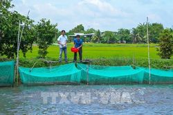 Từ 10/8, người dân Tây Ninh được vay đến 1 tỷ đồng để làm nhà