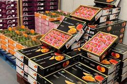 Xoài Đài Loan có giá tới 3 triệu đồng/kg vẫn 'cháy hàng' ở châu Âu