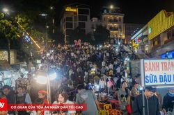Lâm Đồng tăng cường quản lý người lang thang, xin ăn