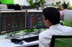 Khi nào cho phép nhà đầu tư cá nhân tham gia sàn giao dịch carbon?