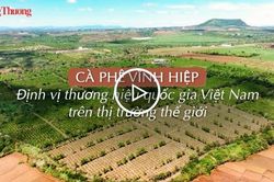 Cà phê Vĩnh Hiệp: Định vị thương hiệu quốc gia Việt Nam trên thị trường thế giới