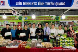 Hội chợ xúc tiến thương mại Hợp tác xã khu vực miền Bắc năm 2026: Cơ hội kết nối giao thương và phát triển sản xuất kinh doanh