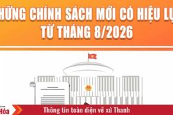 Những chính sách mới nổi bật có hiệu lực từ tháng 8/2026