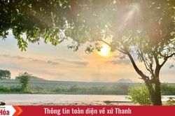 Mùi nắng, mùi mưa