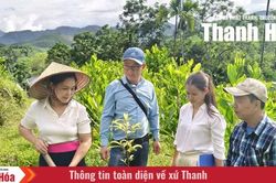 Tăng khả năng ứng phó với thiên tai từ những mô hình sinh kế bền vững