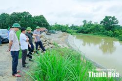 Kiểm tra hệ thống đê điều sông Cầu Chày trước mùa mưa bão