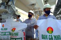 Đạm Cà Mau báo lãi quý II tăng 35,5%, ban lãnh đạo có thu nhập 'khủng'