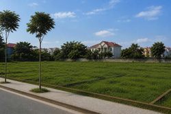 Huế đấu giá hàng loạt các khu đất trong năm 2026