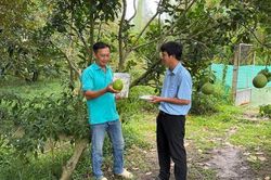 Vĩnh Hòa Hưng phát triển du lịch sinh thái