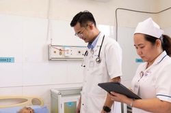 Bị ong vò vẽ đốt hàng chục nốt, cụ ông 98 tuổi suy gan, thận, hô hấp