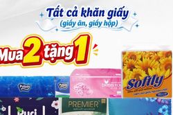 Bách hóa XANH khuyến mãi mua 2 tặng 1 cho tất cả các loại khăn giấy từ ngày 1 đến 9 tháng 8