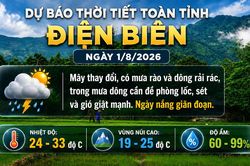 Bản tin Dự báo thời tiết ngày 1/8/2026