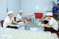 Khuyến công tạo đòn bẩy cho doanh nghiệp bứt phá