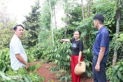 Xây dựng công trình nhà vệ sinh cho hộ nghèo