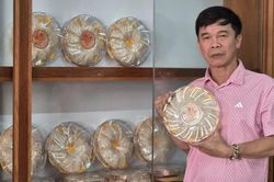 Phát triển nghề nuôi yến bền vững gắn với bảo vệ môi trường