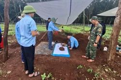 Gia Lai triển khai chỉ đạo về cung cấp thông tin liệt sĩ, mộ liệt sĩ qua tin nhắn di động