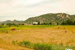 Xã Thuận Bắc: Mong sớm đầu tư đồng bộ hệ thống thủy lợi
