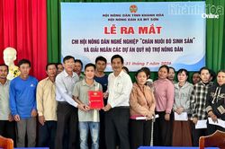 Xã Mỹ Sơn ra mắt Chi hội Nông dân nghề nghiệp chăn nuôi bò sinh sản