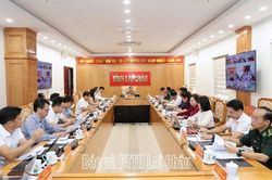 Hội nghị trực tuyến về tiến độ kh&aacute;m sức khỏe định kỳ miễn ph&iacute; cho người d&acirc;n