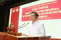 Tổng kết thực hiện các luật về quốc phòng, an ninh