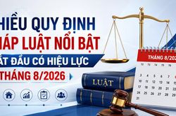 Nhiều quy định pháp luật nổi bật bắt đầu có hiệu lực từ tháng 8/2026
