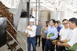 Kiểm tra tiến độ các dự án chế biến nông sản, định hướng phát triển chuỗi giá trị