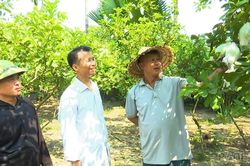 Lục Yên: Các thôn mới nhanh chóng đi vào hoạt động ổn định