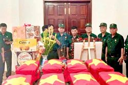 Tiếp sức lực lượng t&igrave;m kiếm, x&aacute;c định danh t&iacute;nh liệt sĩ
