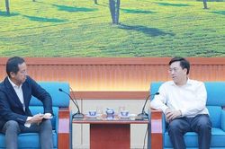Chủ tịch UBND tỉnh Trần Duy Đông làm việc với Tập đoàn Sumitomo (Nhật Bản)